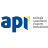 Api Logo