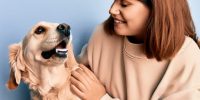 La importancia de asegurar a tu mascota: Beneficios y consejos útiles