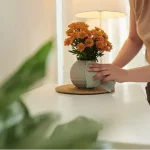 Decorar Vivienda